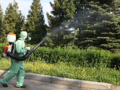 Уничтожение комаров в Дедовске